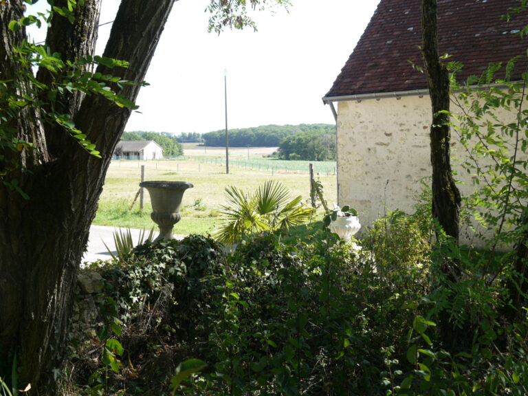 vue sur la campagne du gite à Genillé tellement bien