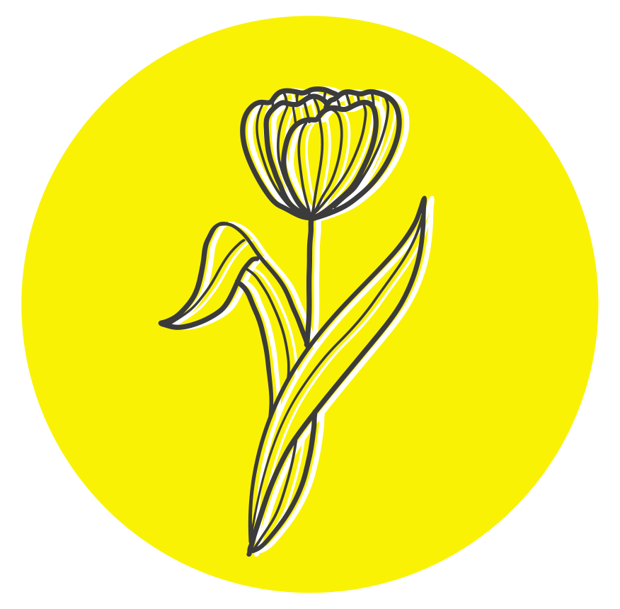 fleur des champs